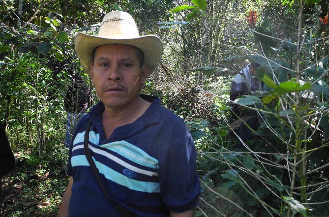 Andres Torres Mendoza owns one hectare of land, located at 1,300 meters planted with Bourbon, Catuai and Catimor coffee varietals.