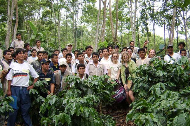 As a part of our annual roaster / producer gathering, CoopCoffees visits Cenfrocafe for a learning exchange in the field.