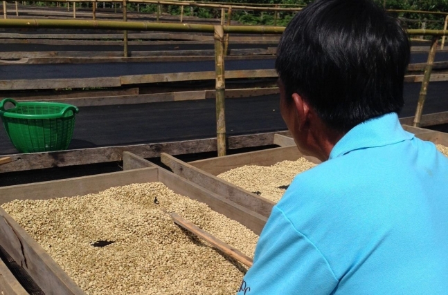 Maysaysomboune Village is one of 42 sites for community based, collective wet processing and sorting stations.